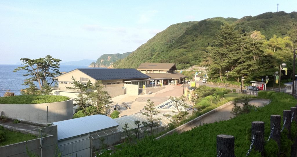 絆工房と城崎マリンワールド