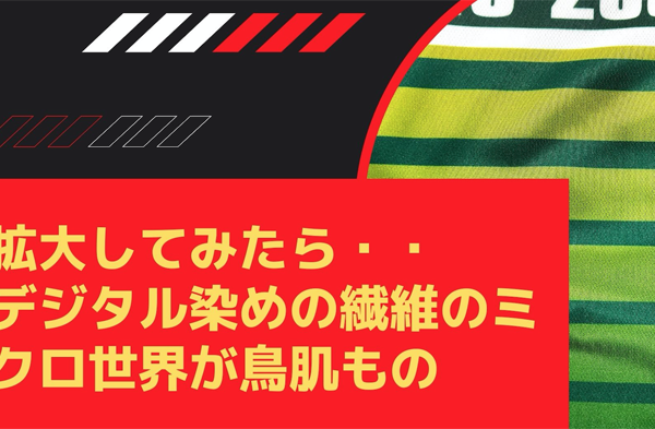 昇華プリント繊維拡大
