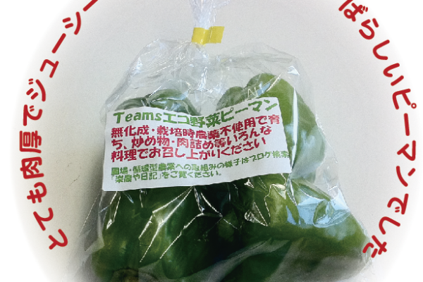絆工房と「農業生産法人(株)Teams